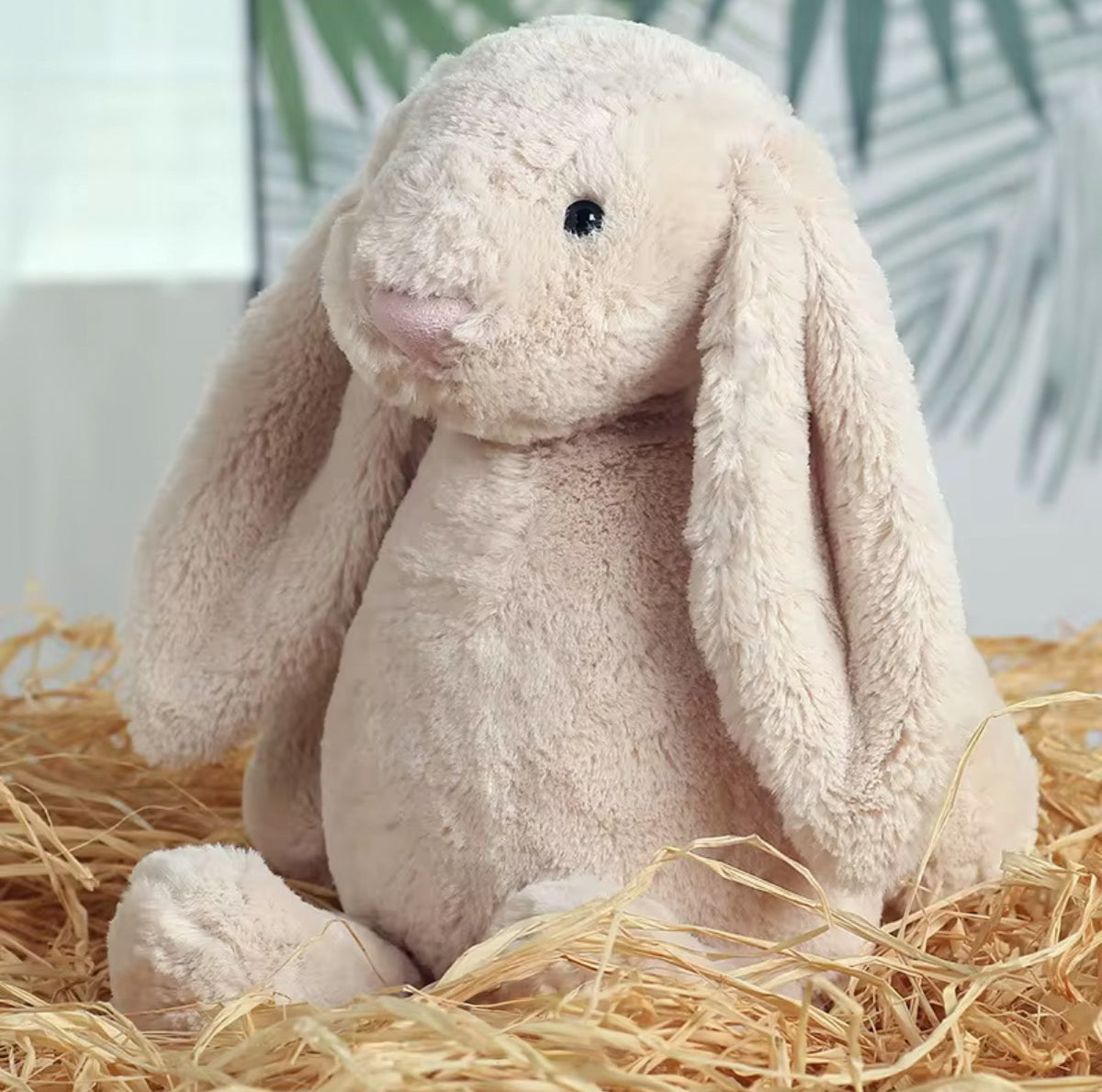 Little Names Personalised Bunny