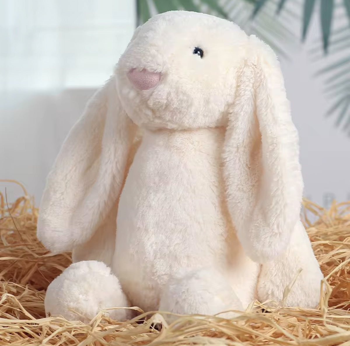 Little Names Personalised Bunny