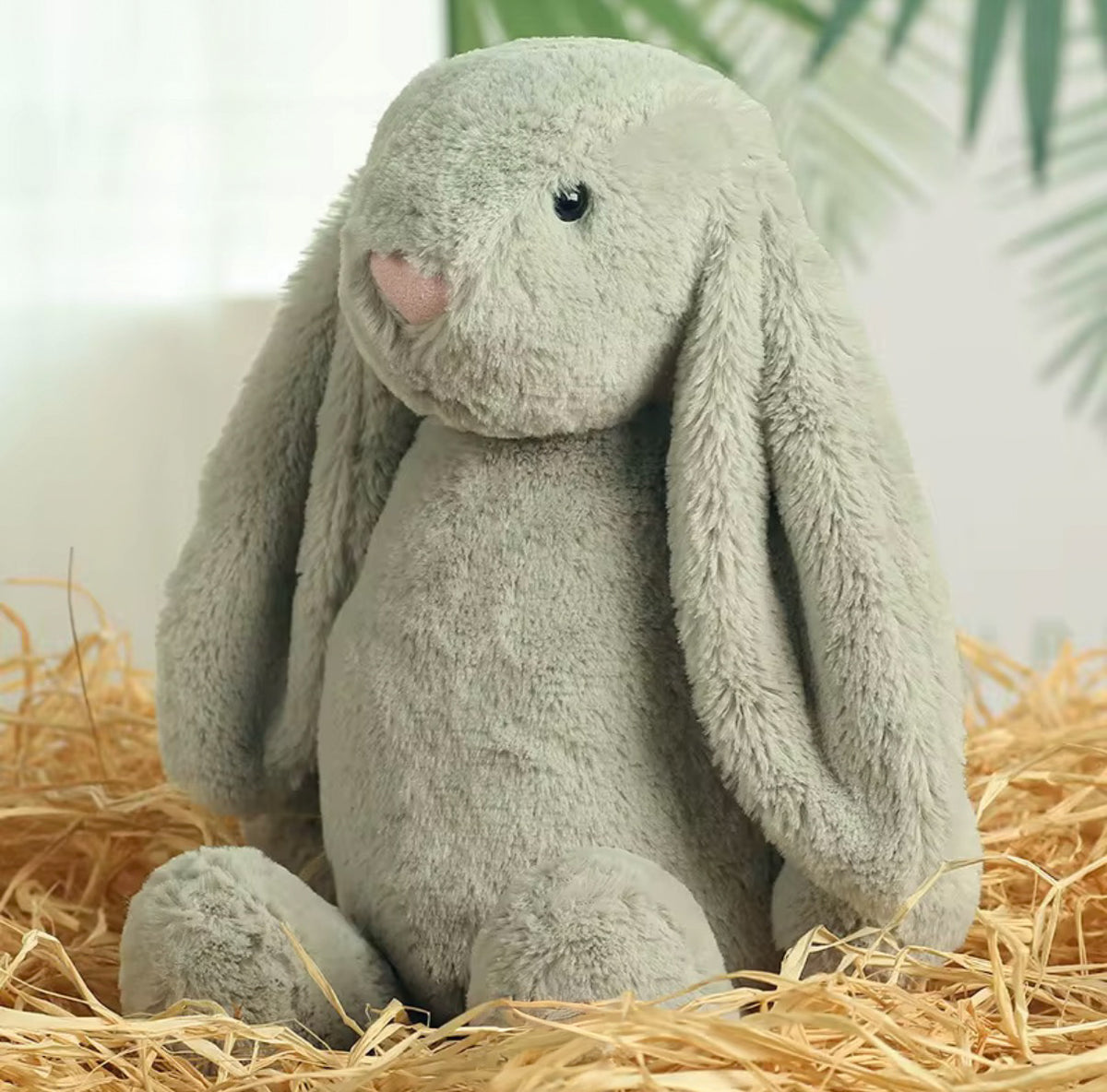 Little Names Personalised Bunny